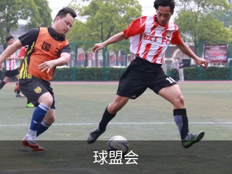 关于球盟会